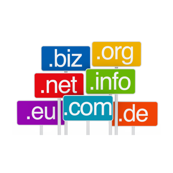 Web module: Domain name (.com) 1 Year